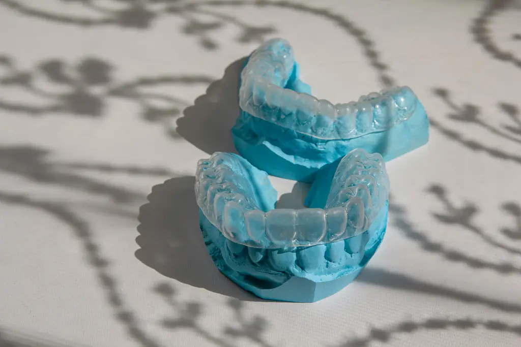 Clear aligners on blue dental models, leaf shadows on a white surface
